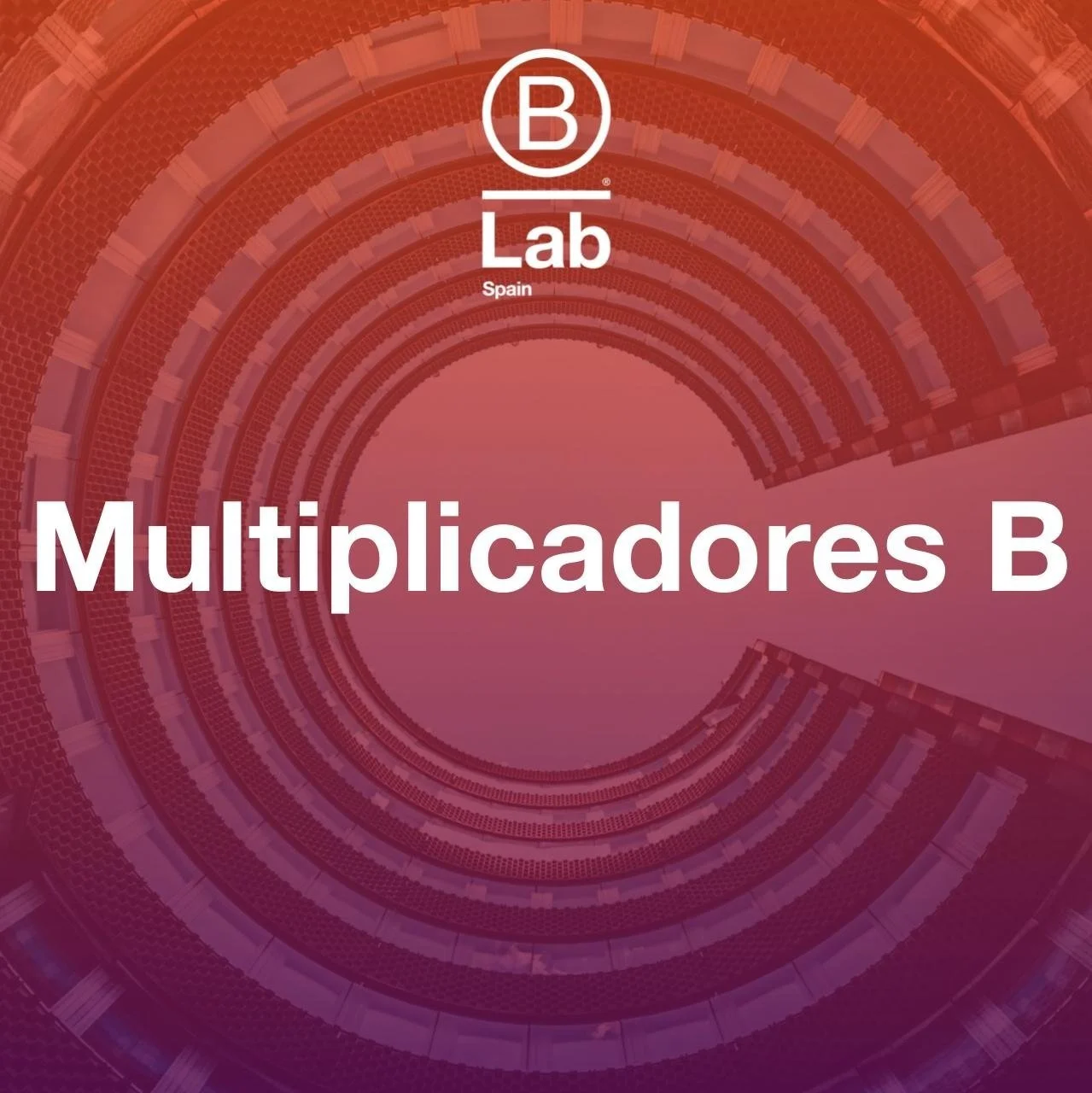multiplicadores+b+ig.pptx.jpg